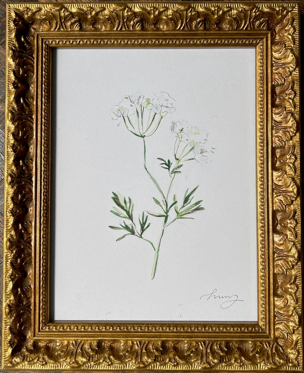 Queen Ann's Lace Original Watercolor Art